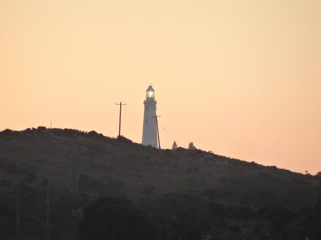 250 - 20140117 Rottnest Island