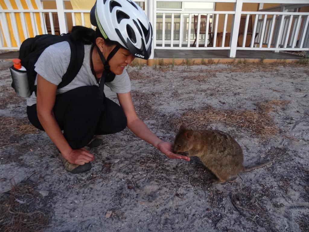 269 - 20140117 Rottnest Island