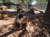 321 - 20140118 Caversham Wildlife Park