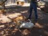 324 - 20140118 Caversham Wildlife Park
