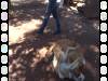 325 - 20140118 Caversham Wildlife Park