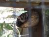 345 - 20140118 Caversham Wildlife Park
