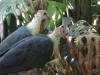 358 - 20140118 Caversham Wildlife Park