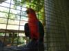 362 - 20140118 Caversham Wildlife Park