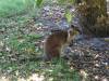 363 - 20140118 Caversham Wildlife Park
