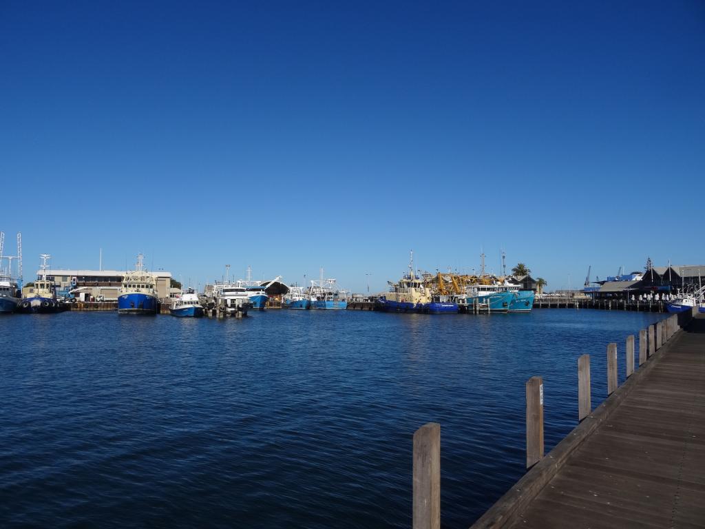 103 - 20140118 Fremantle