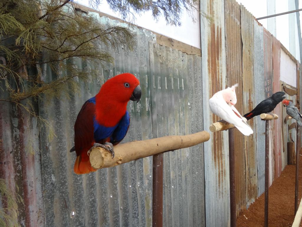 235 - 20140118 Caversham Wildlife Park