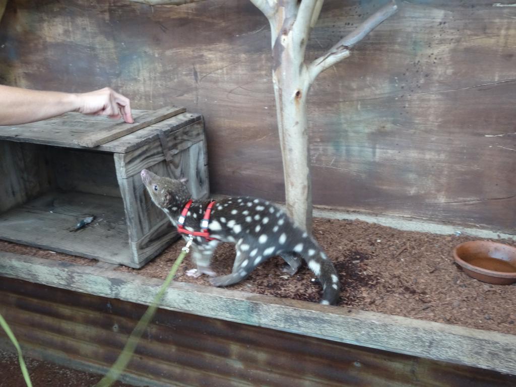 273 - 20140118 Caversham Wildlife Park