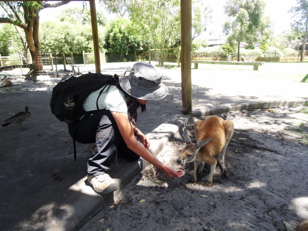 381 - 20140118 Caversham Wildlife Park