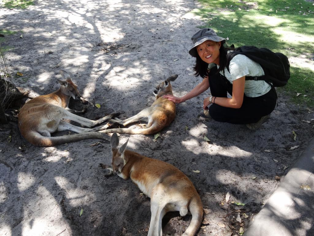 390 - 20140118 Caversham Wildlife Park