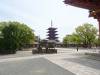 132 - 20140514 Day10 Osaka-Nara