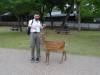 199 - 20140514 Day10 Osaka-Nara