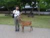 200 - 20140514 Day10 Osaka-Nara