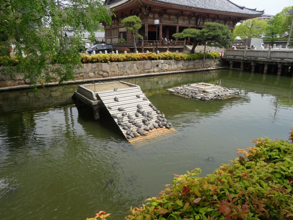 135 - 20140514 Day10 Osaka-Nara