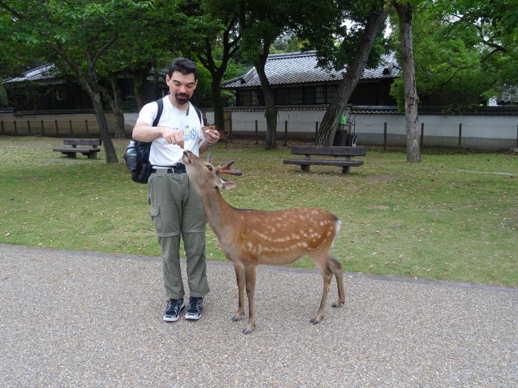 201 - 20140514 Day10 Osaka-Nara