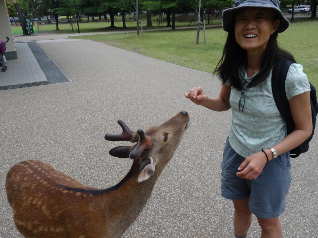 203 - 20140514 Day10 Osaka-Nara