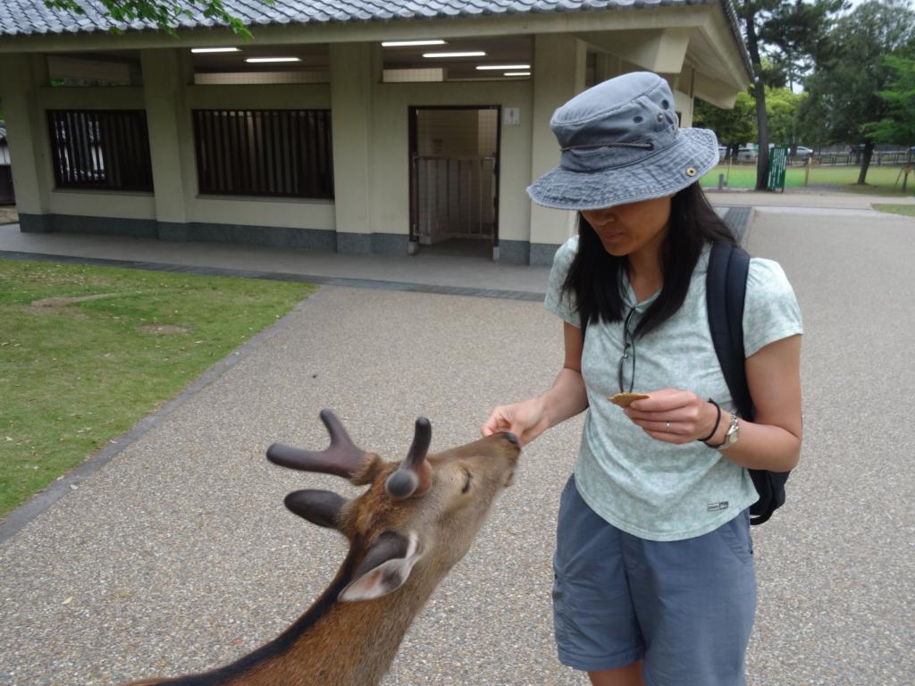 206 - 20140514 Day10 Osaka-Nara