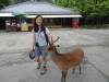 169 - 20140515 Day11 Nara-Kyoto