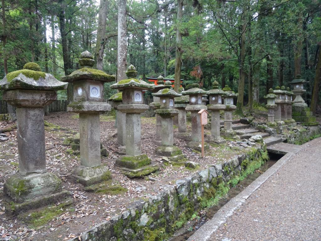 107 - 20140515 Day11 Nara-Kyoto