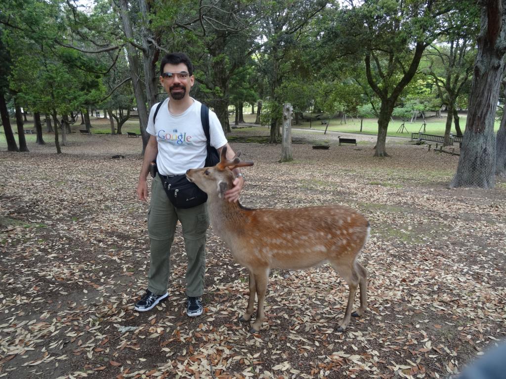 156 - 20140515 Day11 Nara-Kyoto