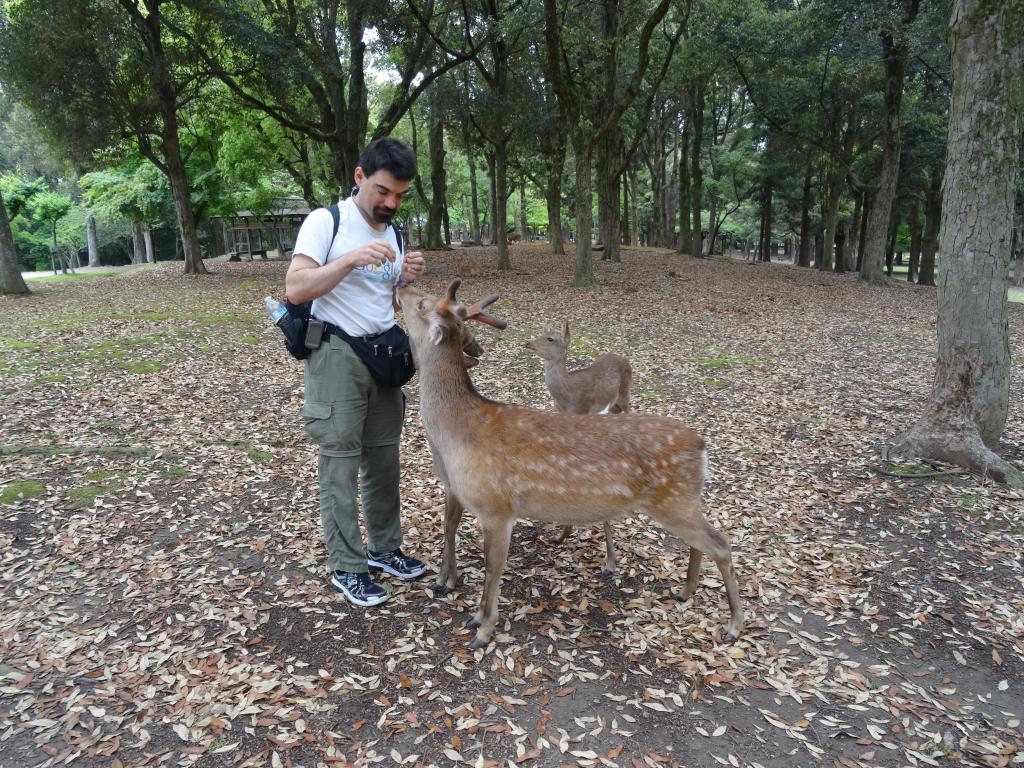 162 - 20140515 Day11 Nara-Kyoto