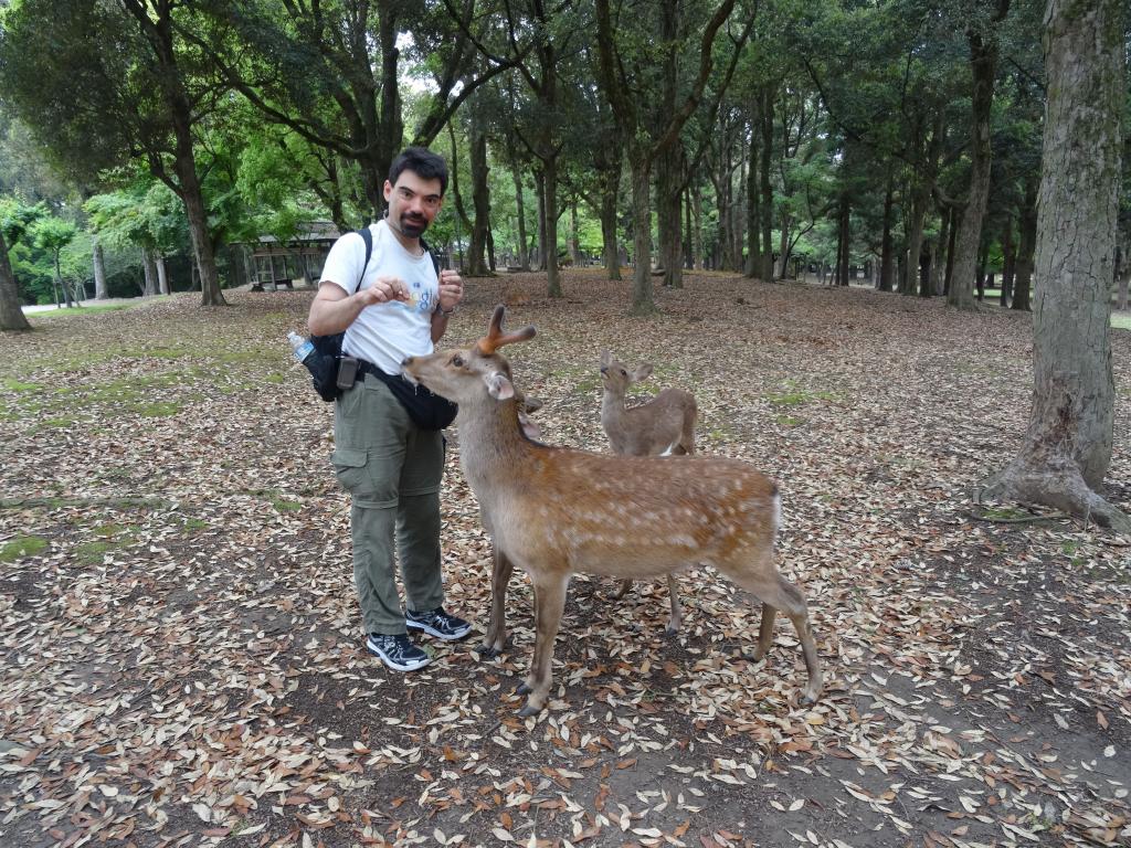 163 - 20140515 Day11 Nara-Kyoto