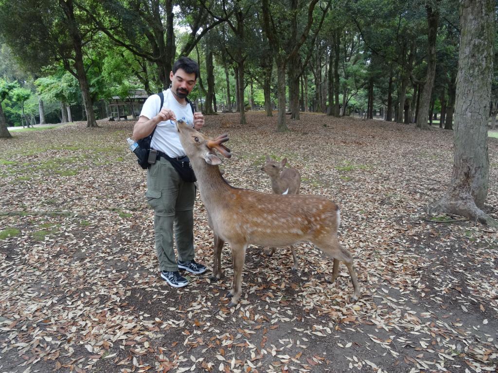 164 - 20140515 Day11 Nara-Kyoto