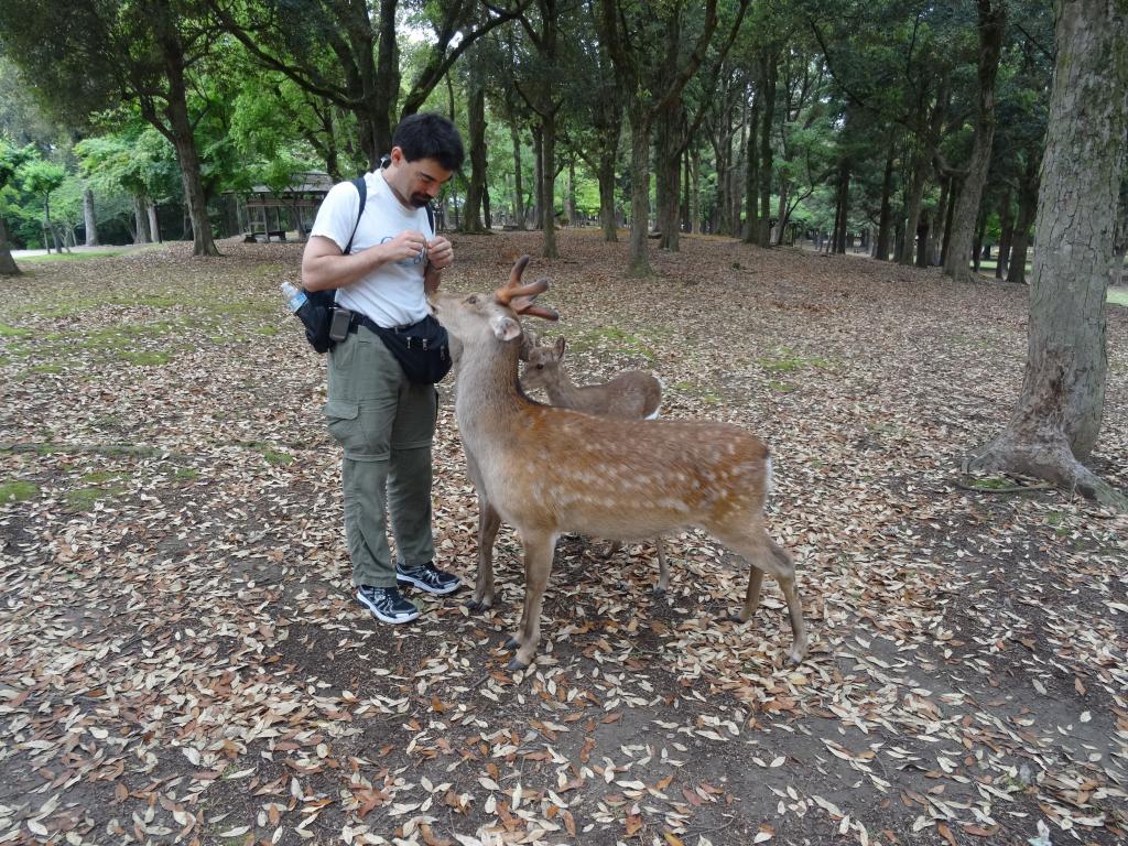 165 - 20140515 Day11 Nara-Kyoto