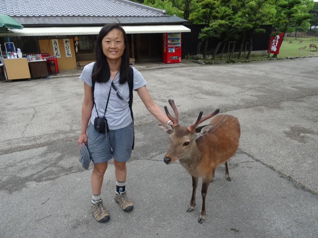 172 - 20140515 Day11 Nara-Kyoto