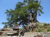 165 - 20141010 Maumere