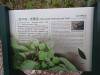 236 - 20141027 Day04 Taroko
