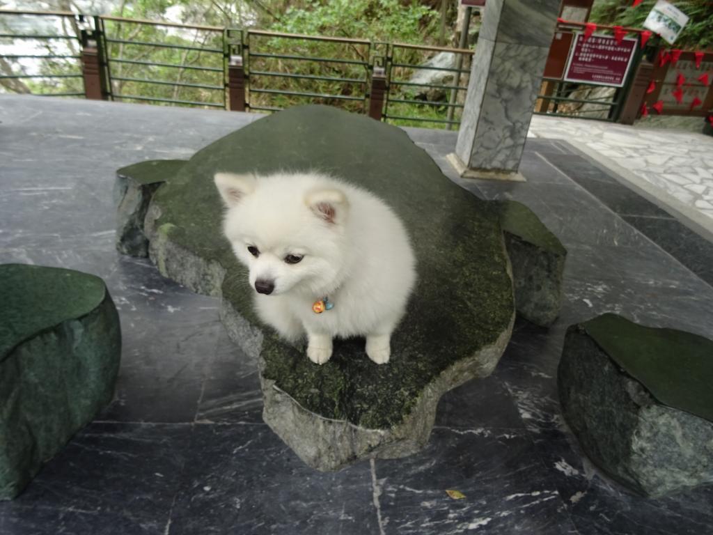 213 - 20141027 Day04 Taroko