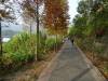 161 - 20141030 Day06 Sun Moon Lake
