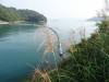 181 - 20141030 Day06 Sun Moon Lake