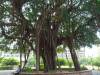 204 - 20141101 Day08 Tainan Anping