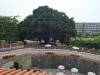 207 - 20141101 Day08 Tainan Anping