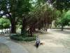 212 - 20141101 Day08 Tainan Anping