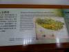 330 - 20141101 Day08 Tainan Anping