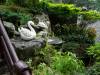 157 - 20141106 Day13 Beitou Tamsui
