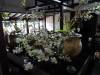 160 - 20141106 Day13 Beitou Tamsui