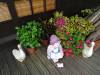 162 - 20141106 Day13 Beitou Tamsui