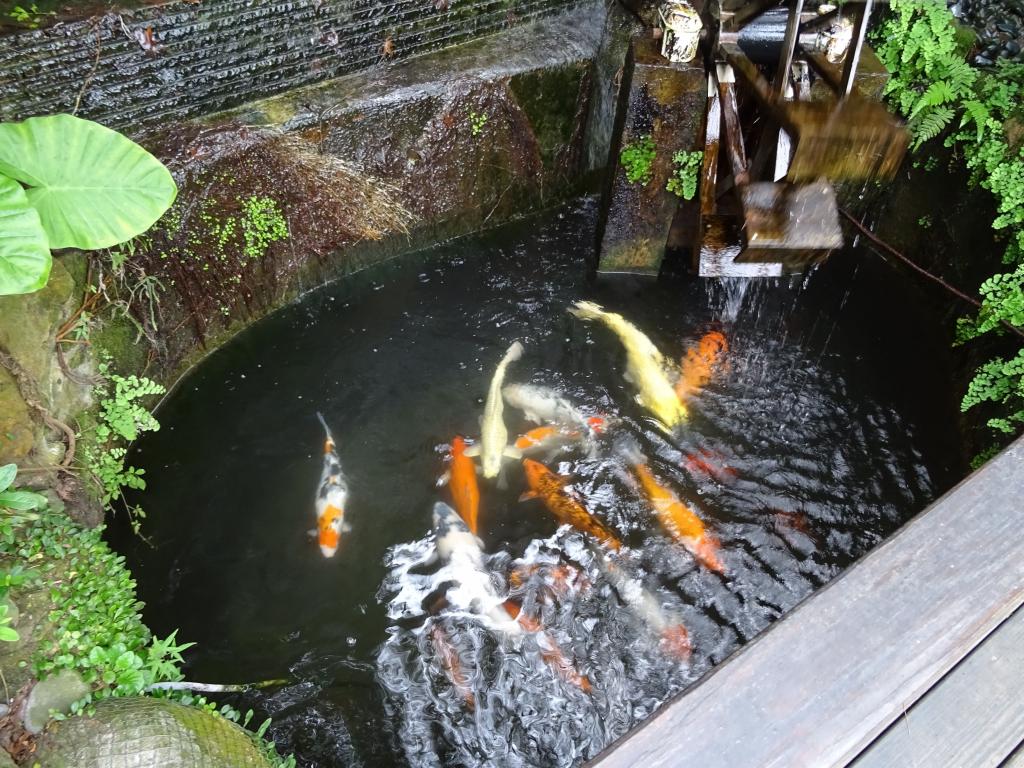 166 - 20141106 Day13 Beitou Tamsui