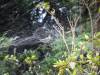 247 - 20141107 Day14 Tamsui Yangmingshan