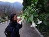 297 - 20141107 Day14 Tamsui Yangmingshan