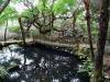 153 - 20141108 Day15 Yangmingshan Yeliu