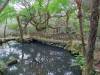 154 - 20141108 Day15 Yangmingshan Yeliu