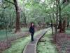 161 - 20141108 Day15 Yangmingshan Yeliu