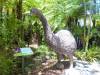 145 - 20150125 Rotoruta Day1 Rainbow Springs