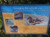 160 - 20150128 Lake Taupo National Trout Center