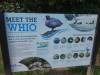 166 - 20150128 Lake Taupo National Trout Center